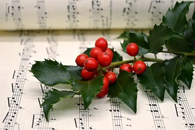 Foto: Symbolfoto: Pixabay