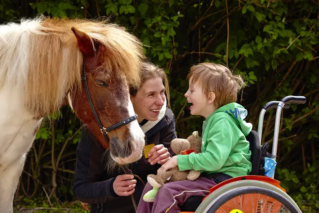 Foto: Lichtblickhof Wien