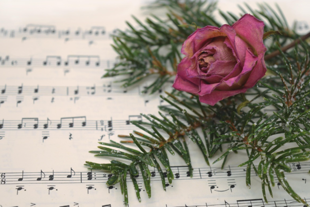 Foto: pixabay Symbolfoto