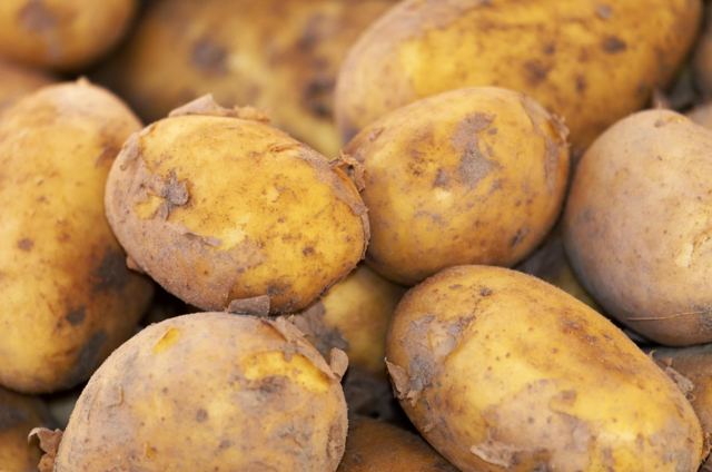 Foto: pixabay Symbolfoto