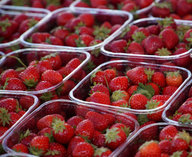 Foto: pixabay Symbolfoto