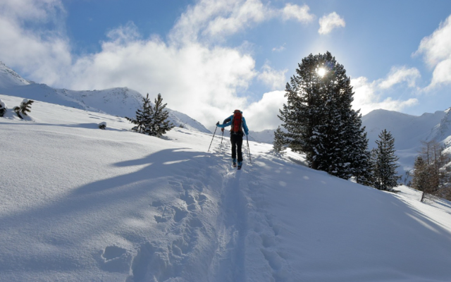 Foto: pixabay Symbolfoto