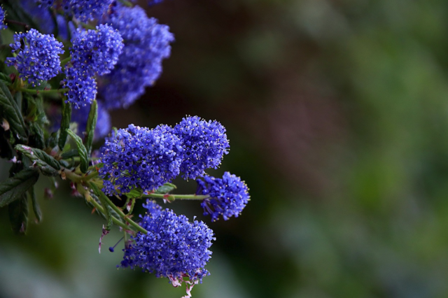 Foto: pixabay Symbolfoto