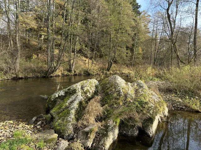 Mythische Steine und Felsformationen sind Inhalt des Projektes: "Wenn Felsen Namen tragen".  | Foto: Karin Bayr