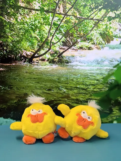 Kiki das schnatterige Entchen wartet im Rahmen eines Gewinnspiels auf die Kinder. | Foto: Tourismusbüro Maria Wörth