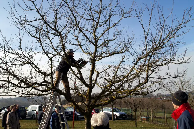 Foto: Naturpark Obst-Hügel-Land
