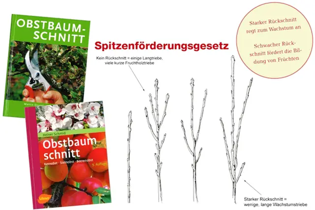 Foto: Naturpark Obst-Hügel-Land