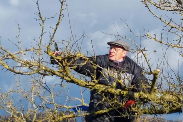 Foto: Naturpark Obst-Hügel-Land