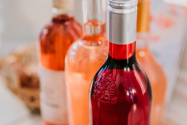 Foto: Wein Steiermark | Johanna Lamprecht