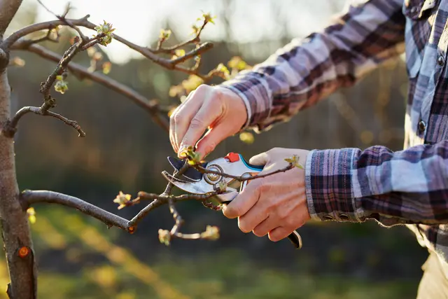 Bei den Kursen erlangt man das entscheidende Know-How. | Foto: Stock Adobe