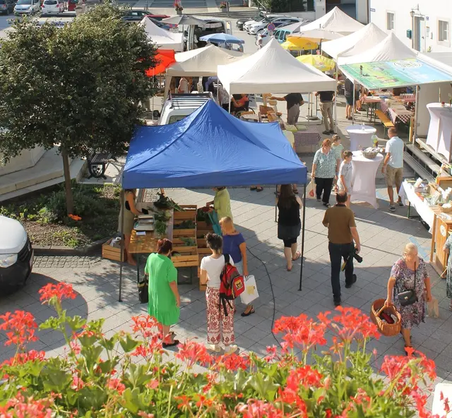 Foto: Stadtgemeinde Scheibbs