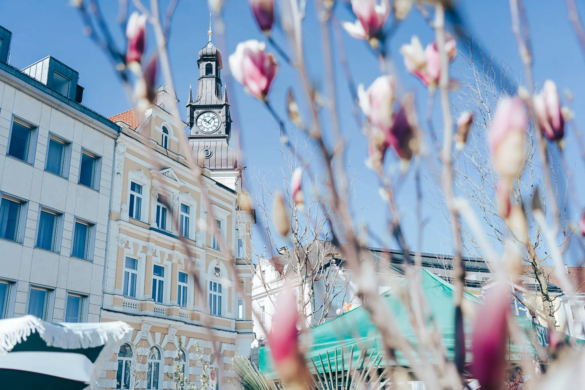 Easter and Plant Market at the Pölzhalle in Amstetten