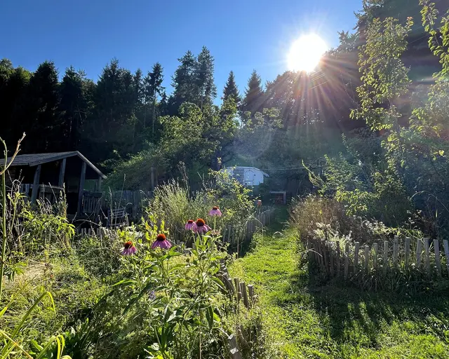 Foto: Naturschaugarten vom Landsitz