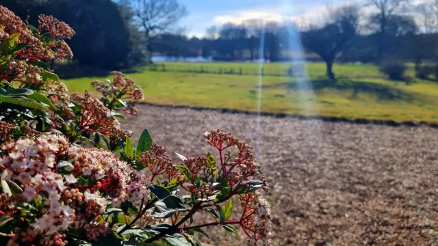 Schreibimpulse und Mini-Meditationen laden ein, zu erforschen, was noch da ist, wenn die Rollen des Alltags, Erwartungen und Wahrnehmungen einmal beiseitegelassen werden.  | Foto: Mandl