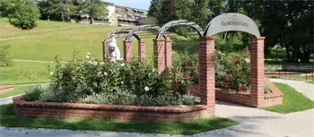 Foto: Manfred Bluska