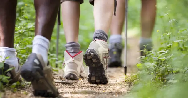 Drei wandernde Menschen (Symbolbild). | Foto: smarterpix/diego_cervo