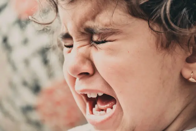 Foto: unsplash/Zahra Amiri