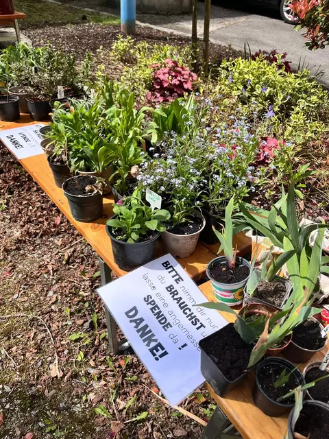 Der Netzwerk Verschönerungsverein Sigharting veranstaltet am 25. April 2026 wieder einen Frühlingsmarkt mit Pflanzentausch im Schloss Sigharting. | Foto: Netzwerk Verschönerungsverein Sigharting