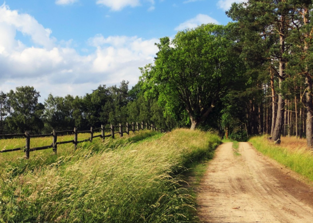 Foto: pixabay Symbolfoto