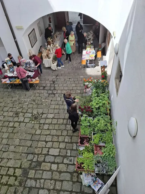 Auch die abgegebenen Pflanzerl können gegen eine Spende für den Verschönerungsverein mitgenommen werden. | Foto: Netzwerk Verschönerungsverein Sigharting