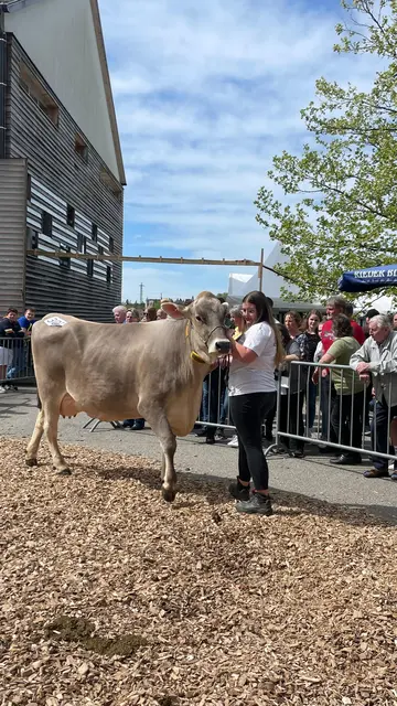 Das "Ku(h)linarium" der LWBFS Otterbach bietet am 26. April 2026 ab 10 Uhr Rinder-, Plattler- sowie Forstvorführungen und einem eigenen Kinderprogramm. | Foto: Landwirtschaftliche Fachschule Otterbach