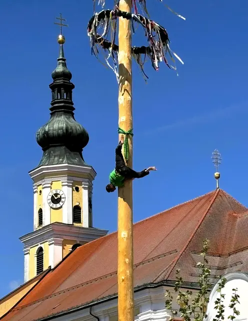 Akrobatik vom Feinsten lieferten die Sauwaldkraxler am Schärdinger Stadtplatz beim Maibaumfest 2025: Auch heuer zeigen sie ihr Können – am 1. Mai 2026 um 13 Uhr. | Foto: Franz Gruber