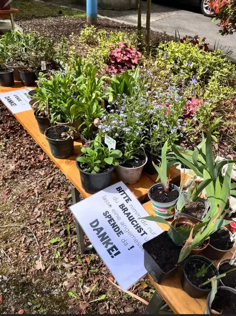 Pflanzen tauschen statt kaufen  Nachhaltiger Start in die Gartensaison