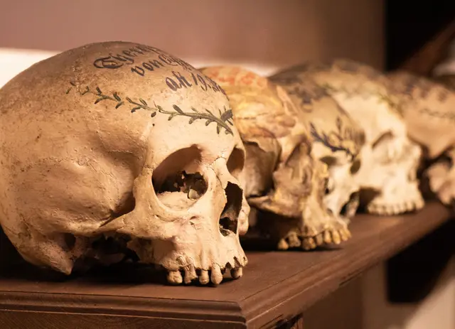 Verzierte Schädelknochen | Foto: Stadt Braunau