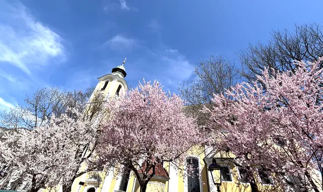Käferweihe vor der Kirche. | Foto: Klaus Kogler