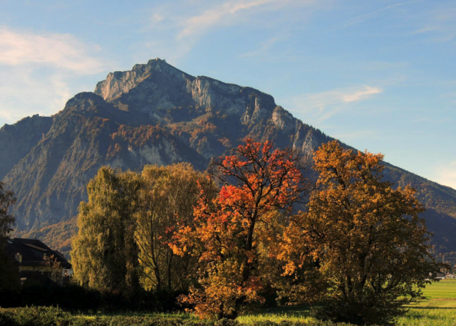 Foto: pexels Symbolfoto