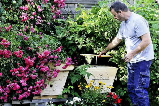Imker Michael Allesch lädt zu spannenden Führungen rund um die Biene ein. | Foto: Bio-Imkerei Allesch