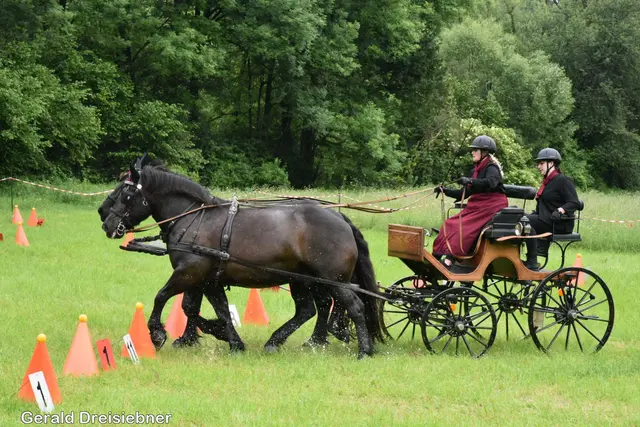 Auch Lokalmatadorin Christa Brunner fährt beim 2. Steiermark-Cup in Pircha 2 mit.   | Foto: Gerald Dreisiebner