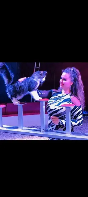 Foto: Circus belly