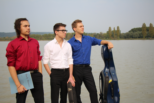 Gabriel Romberger, Johannes Wilhelm und Gunther Skala (v. l. n. r.) spielen seit 2016 als Triton Trio zusammen.  | Foto: Triton Trio