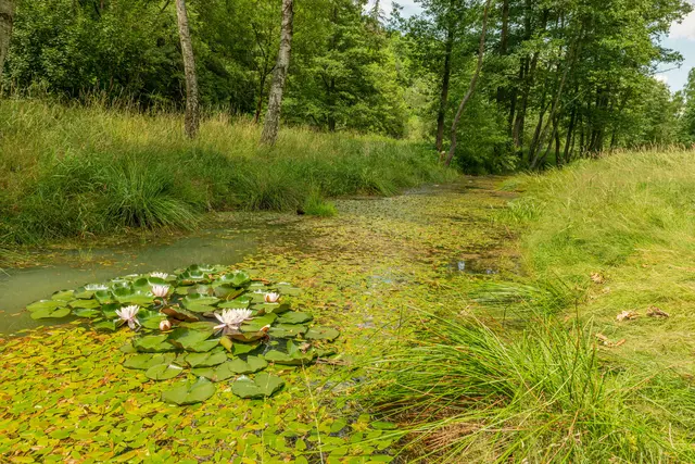 Foto: pexels / Petr Ganaj