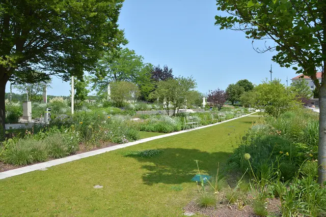 Auf der Wiese hinter dem Rathaus wird am 26. Juni erstmals die lange Tafel des Miteinanders aufgestellt, die zum geselligen Beisammensein einlädt. Die liebsten Snacks für sich und zum Teilen bringt jeder selbst mit oder man versorgt sich beim gastromischen Angebot vor Ort. | Foto: Stadtgemeinde Tulln