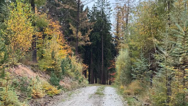Foto: pexels / Geert Rozendom