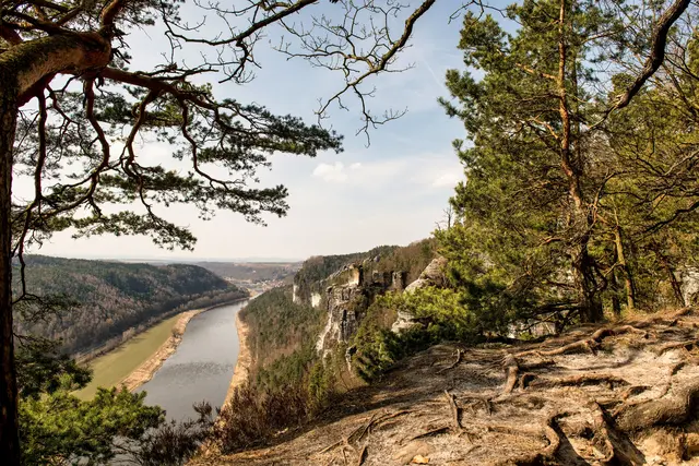 Foto: pexels / Wolfgang Weiser
