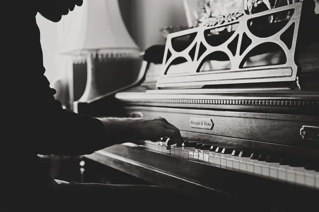 Foto: pixabay / Pexels
