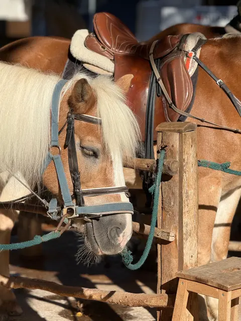 Foto: pexels / Rumeysa Demir