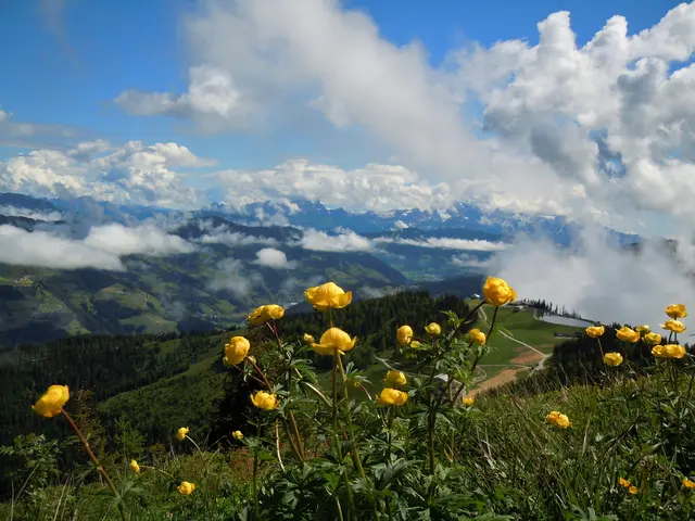 Wolkenstimmung am Sonntagskogel | Foto: Roswitha Oberhuber