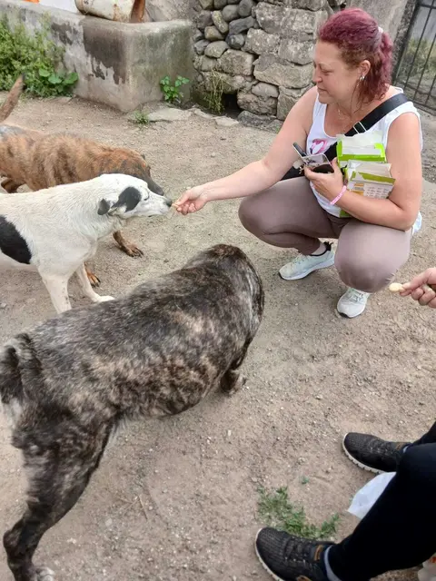 Mit jedem kleinen Euro wird Hoffnung für Katz und Hund größer. | Foto: La Strada e. V. 