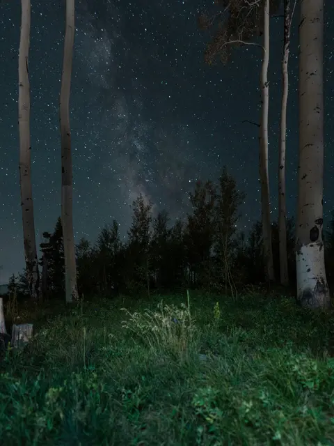 Foto: unsplash / Nathan Anderson
