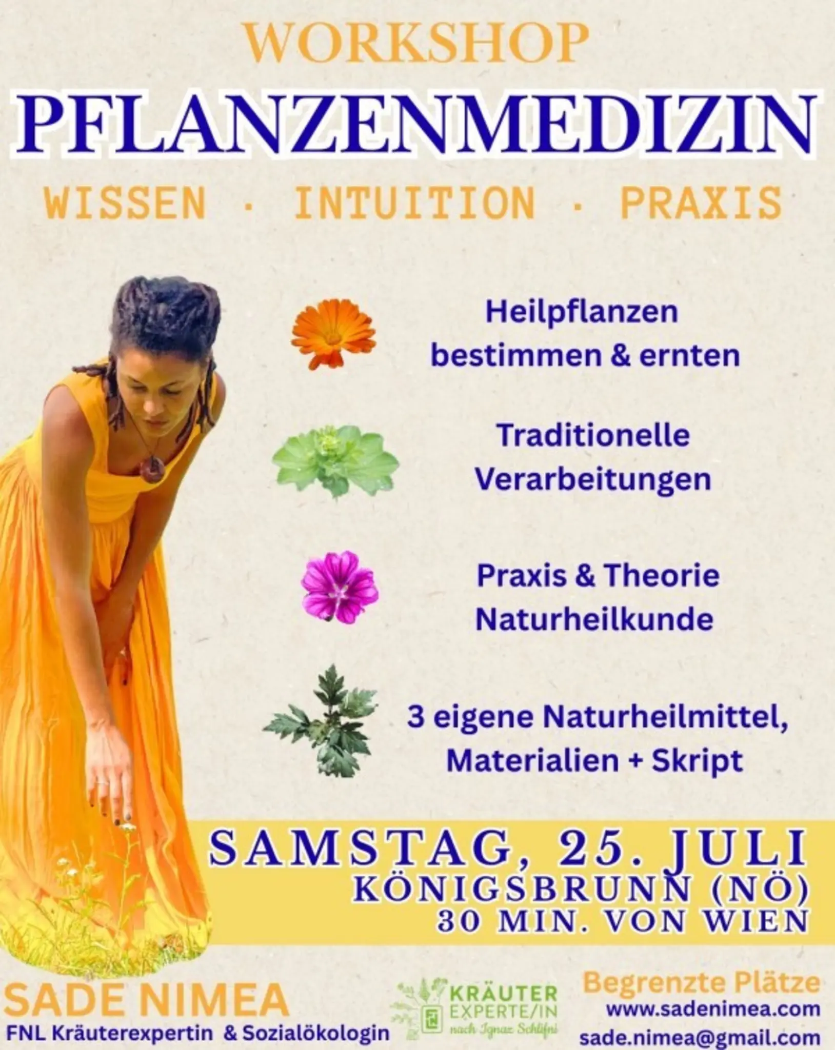Pflanzenmedizin-Workshop: Praktisches Wissen bei Kraut & Leben