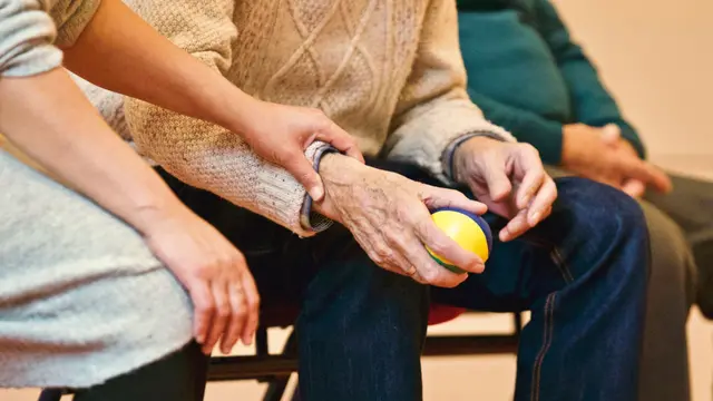 Foto: pexels / Matthias Zomer