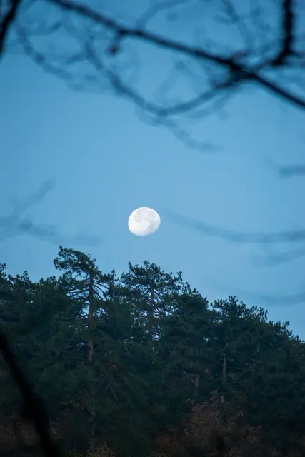 Foto: pexels / Çiğdem Bilgin