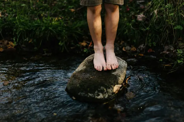 Foto: unsplash / Jordan Whitt