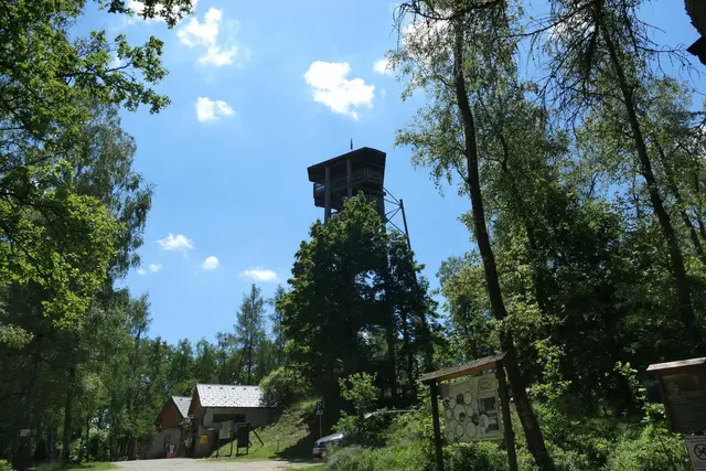 Der Aussichtsturm in der Blockheide | Foto: Mariella Datzreiter