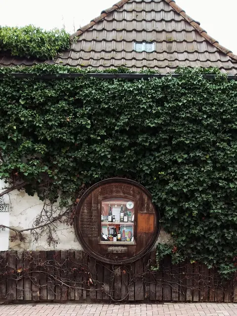 Foto: pexels / Katrin Agni