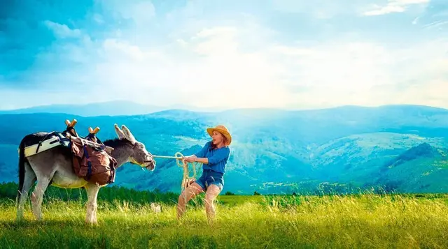 Mein Liebhaber, der Esel &amp; ich (2020) | Foto: SWR/​Chapka Films/​La Filmerie/​France 3 Cinema/​Julien Panié